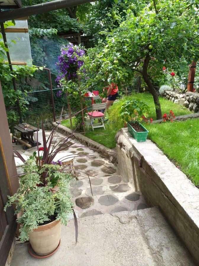 Apartma Pr Martin Begunje na Gorenjskem Extérieur photo